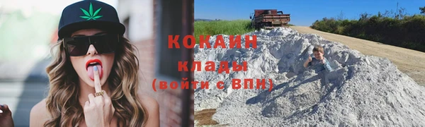 соль ск Арсеньев