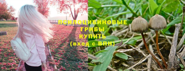 альфа пвп Армянск