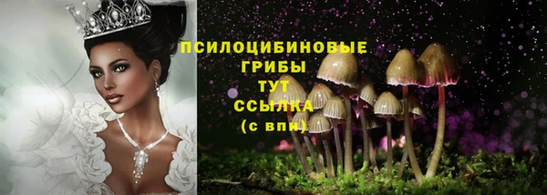 соль ск Арсеньев