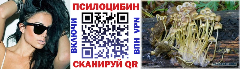 hydra как войти  Лабытнанги  Псилоцибиновые грибы ЛСД 